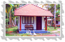 Palmy Homestay
